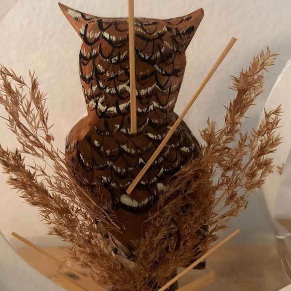 Vintage Mid-Century Hand Carved Wooden Owl Encased in Lucite Shaped Moon - Picture 4 of 8